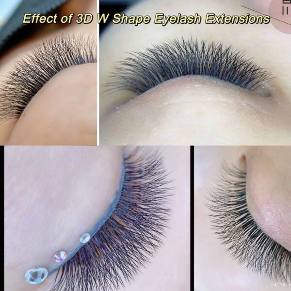 NAGARAKU Automatic Flowering W Shape Bloom 3D 4D 5D 6D Premade Fans Eyelash Extensions Natural Soft Light Full Dense